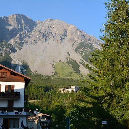 Albergo - B&B Alpina Premadio エクステリア 写真